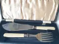 Посребрен комплект за риба , снимка 1