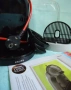 Кафемашина с гаранция 1 година NESCAFÉ® Dolce Gusto Krups Mini Me.Gray, снимка 2