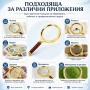 Голяма стъклена увеличителна ръчна лупа 10X увеличение с дръжка за четене на книги професионална, снимка 6