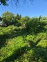 Услуги косене почистване на парцели от трева и храсти, снимка 3