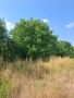 Заграден парцел, снимка 1