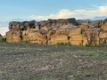 Бали слама Макси 500-600кг -15 евро, снимка 2