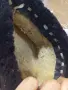 Много стар северняшки комплект от 3 части, снимка 5