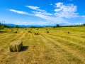 Сено,Слама обл.Монтана, снимка 1