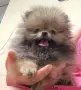 мини момченце❤🥰, снимка 1
