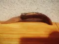 Големи Габровски Сойки Етъра, снимка 18