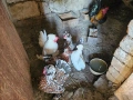 Продавам бреговски джинки, снимка 2