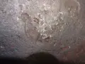 Стара брадва..., снимка 2
