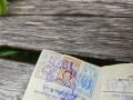 Стари карти СЛРБ и БЛРС + разрешително рибар, снимка 14