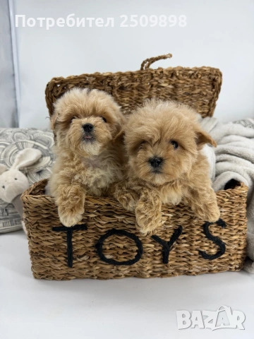 Малтипу микро супер мини, снимка 4 - Други - 54303336