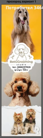 Груминг студио BetGGrooming, снимка 8 - За кучета - 54720460