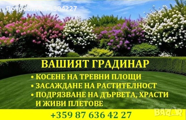 25 години опит – превръщам всеки двор в перфектна градина! Професионална поддръжка: косене, оформяне