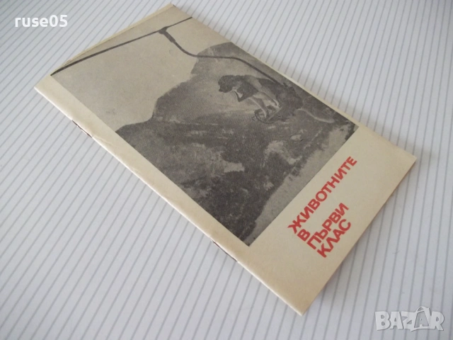 Книга "Животните в първи клас - Е. Рутман" - 30 стр., снимка 6 - Специализирана литература - 54768178