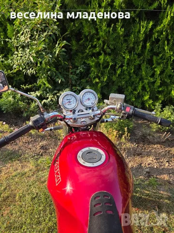 SUZUKI  VX  800, снимка 7 - Мотоциклети и мототехника - 55435655