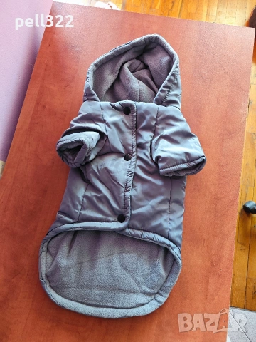 Яке за куче сиво