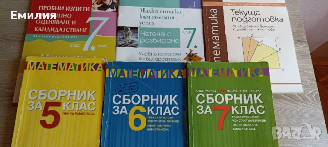 Различни сборници по математика и помагала 
