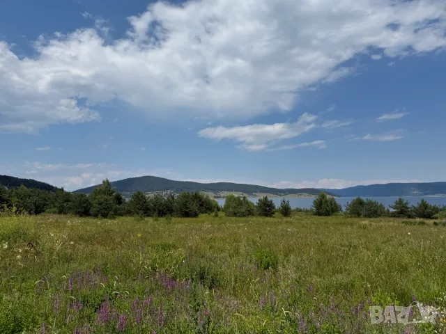 УПИ на първа линия на язовир Батак, снимка 3 - Парцели - 55340303