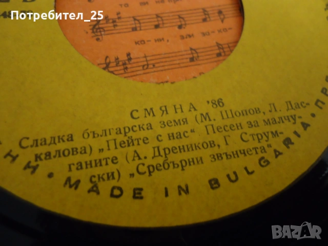 Грамофонни плочи, снимка 7 - Грамофонни плочи - 54403891