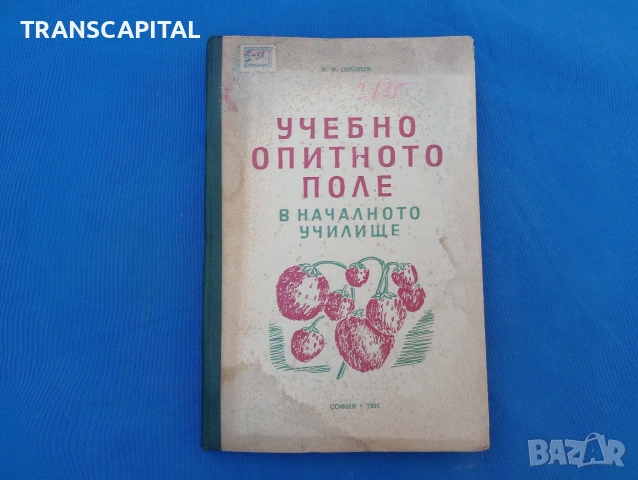 Учебно опитно поле