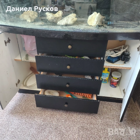 Аквариум със заоблено стъкло, снимка 9 - Аквариуми - 54446906