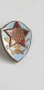 Значка,Нагръден знак НССТ, снимка 2