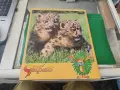Албум Панини животните по света panini, снимка 4