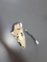 Заключващ механизъм за предна лява врата за Honda Accord (1999-2003) 790604, снимка 1