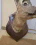 Ловен трофей на сръндак, снимка 5