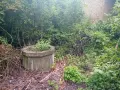 Къща с двор 2,5 декара в село Ресен, снимка 3