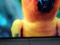 ТВ. DYON Movie smart XT 49, снимка 5