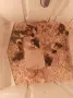 Малки патенца люпени днес , снимка 6