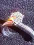 Инвесционен диамант -Gold 18 k, снимка 6