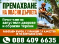 Почистване на дворове и запустели парцели от храсти и къпина., снимка 1