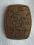 Колекционерска значка/медал 1995г, снимка 2