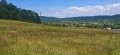 4 декара поземлен имот в Габра, София област, снимка 1