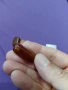 Камъни карнеол част от колие, снимка 4