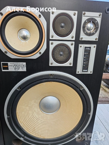 Тонколони Tamon AX-8120 15 инча, снимка 4 - Тонколони - 54904120