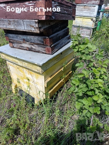 Кошери за пчели.