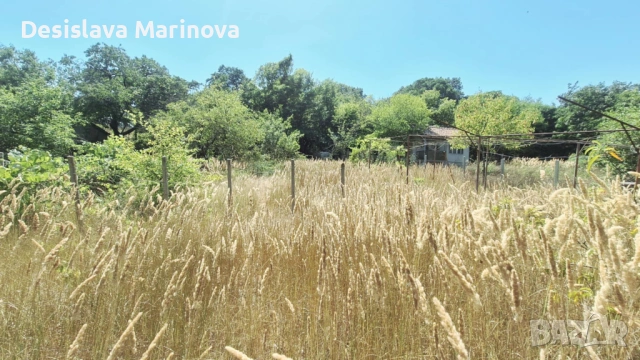 продавам парцел с ток и малка постройка Бровец - юг, снимка 3 - Парцели - 54818709