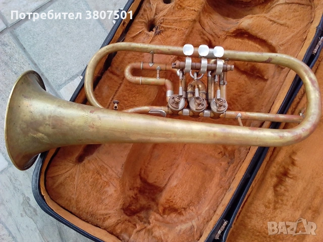 Флигорна АМАТИ