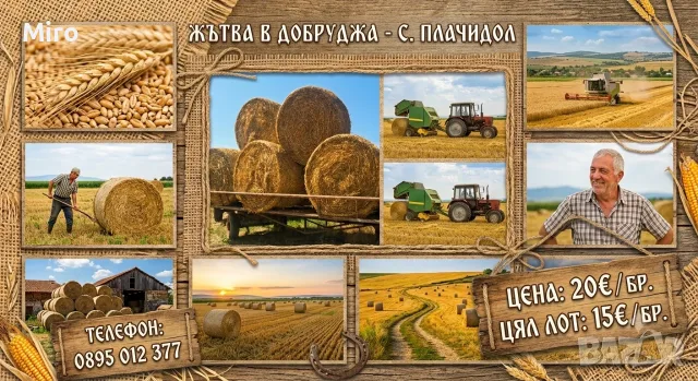 Кръгли бали слама1.20 на 1.50