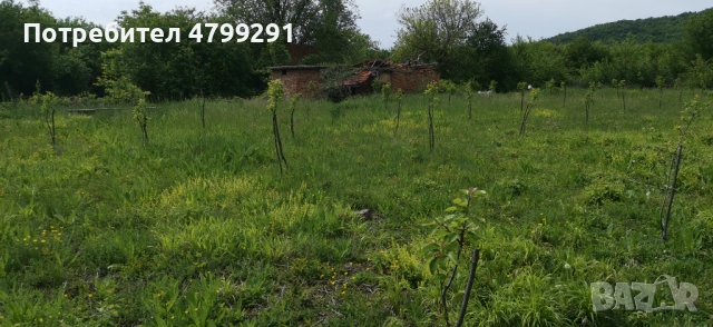 ПРОДАВА УПИ 700 КВ В СЕЛО БАТУЛЦИ, снимка 9 - Парцели - 54579634