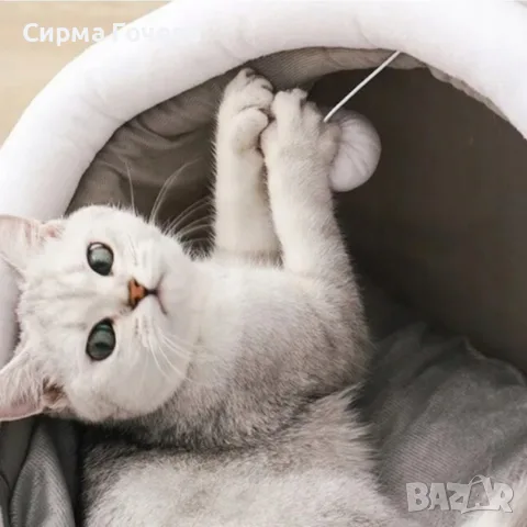 Плюшена къщичка и легло 2 в 1 за котки – Мека възглавница, играчка и неплъзгащо дъно, снимка 5 - За котки - 55658291