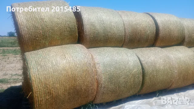 Рулонни бали овес , снимка 2 - За селскостопански - 55508182