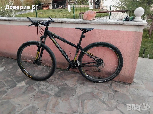 BULLS King Cobra 29" (Размер 41/S-M)