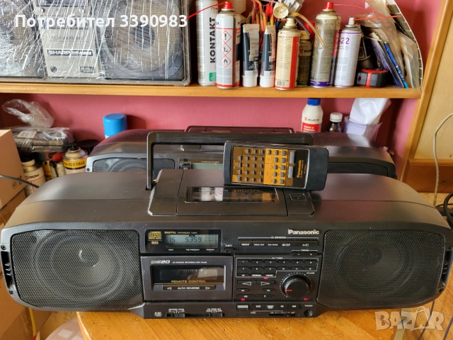 Panasonic RX-DS20