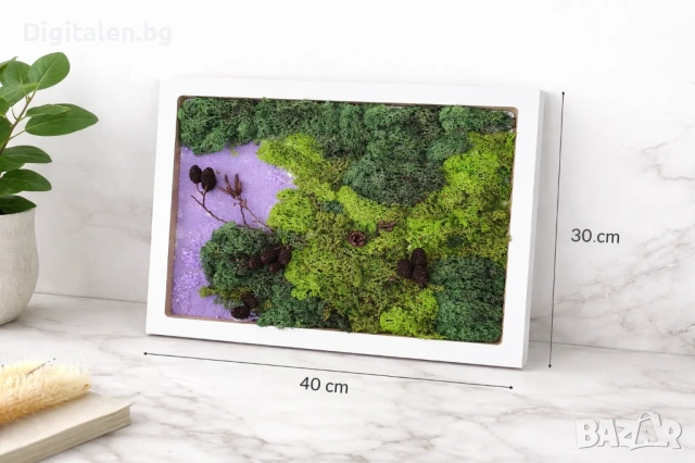 Жива картина със скандинавски мъх 40x30 см