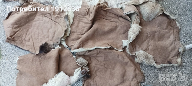 Продавам щавени и боядисвани агнешки кожи около 20 броя.Намират най различни приложения , снимка 2 - Други - 54445336