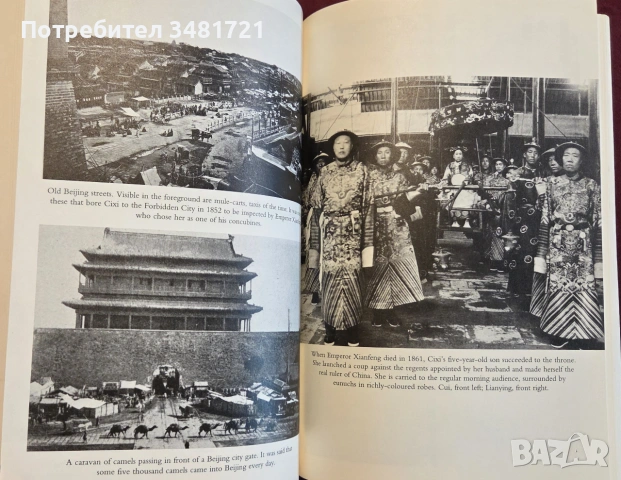 Empress Dowager Cixi. The Concubine Who Launched Modern China, снимка 9 - Биографии, мемоари и спомени - 55065653