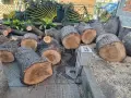 Дървен материал за изработка на маси, столове и мебели, снимка 6